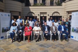 Supporting inventories development and priority setting of the Stockholm Convention